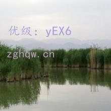 ҵ